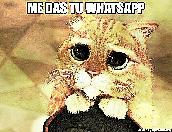 64204561931.jpeg