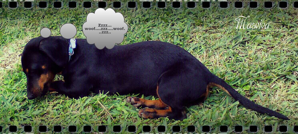 #overlays
:-)